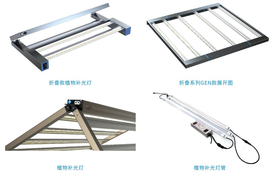 GILE展商有约 | 与雷霆对话 力侬照明，用“全案+全流程”服务打动全球新老用户